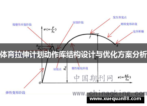 体育拉伸计划动作库结构设计与优化方案分析