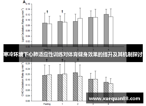 寒冷环境下心肺适应性训练对体育健身效果的提升及其机制探讨