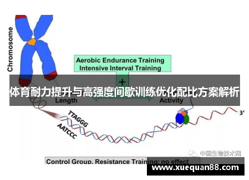 体育耐力提升与高强度间歇训练优化配比方案解析